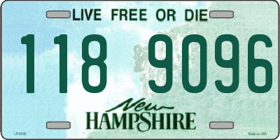 NH license plate 1189096