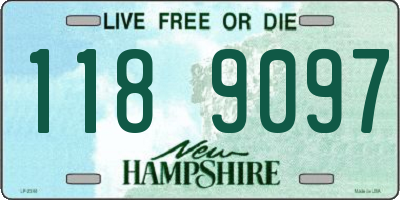 NH license plate 1189097