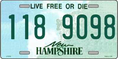 NH license plate 1189098