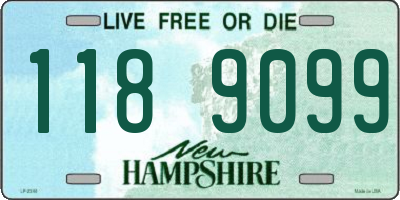 NH license plate 1189099