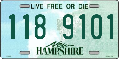 NH license plate 1189101