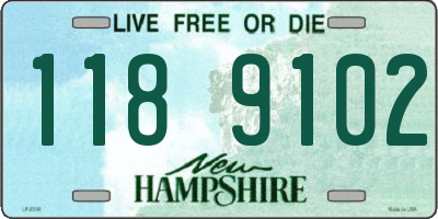NH license plate 1189102