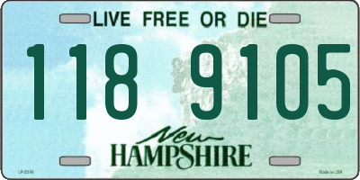NH license plate 1189105