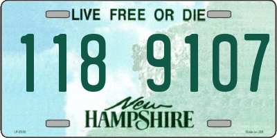 NH license plate 1189107