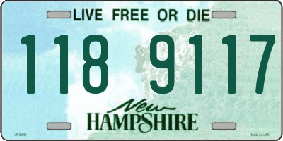 NH license plate 1189117