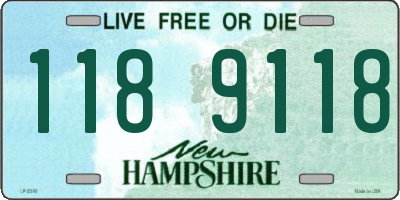 NH license plate 1189118