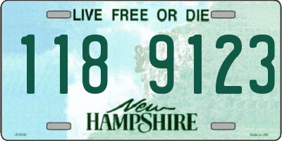 NH license plate 1189123