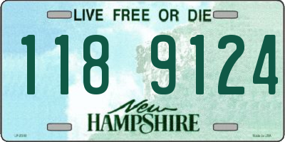 NH license plate 1189124