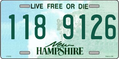 NH license plate 1189126
