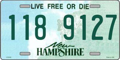 NH license plate 1189127