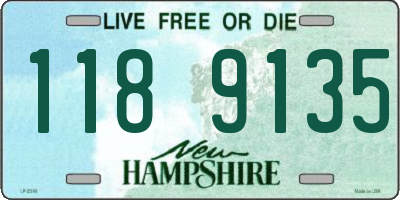 NH license plate 1189135