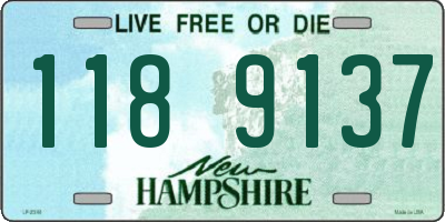 NH license plate 1189137