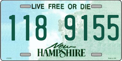 NH license plate 1189155