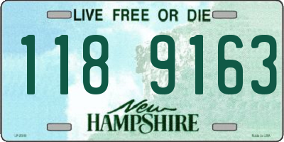 NH license plate 1189163