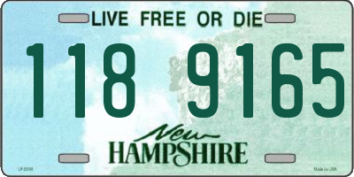 NH license plate 1189165