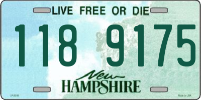 NH license plate 1189175