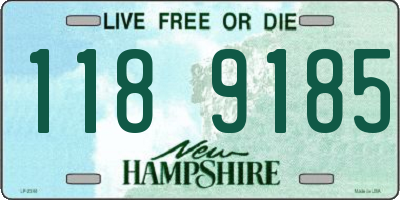 NH license plate 1189185