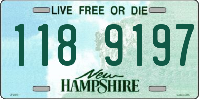 NH license plate 1189197