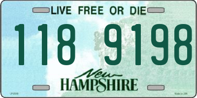 NH license plate 1189198