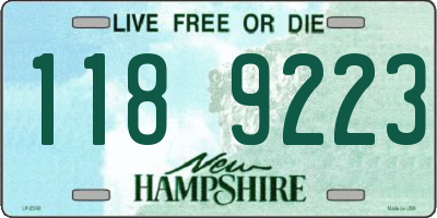 NH license plate 1189223