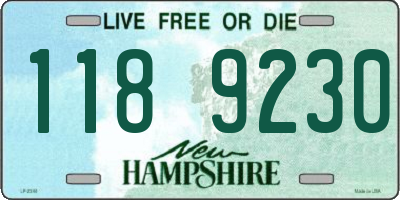 NH license plate 1189230