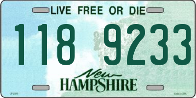 NH license plate 1189233