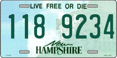 NH license plate 1189234