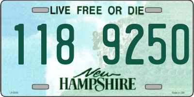 NH license plate 1189250
