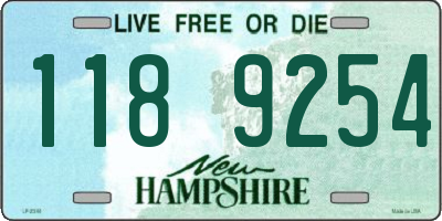 NH license plate 1189254