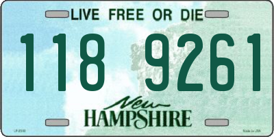 NH license plate 1189261