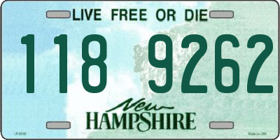 NH license plate 1189262