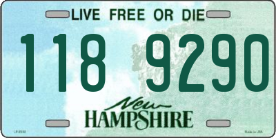 NH license plate 1189290