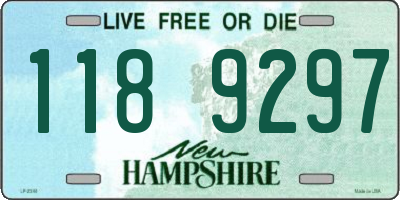 NH license plate 1189297