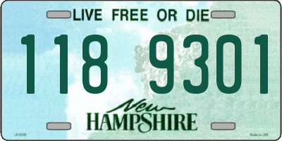 NH license plate 1189301