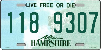 NH license plate 1189307