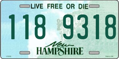NH license plate 1189318