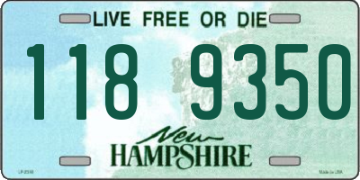 NH license plate 1189350