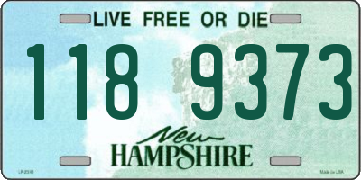NH license plate 1189373