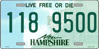 NH license plate 1189500