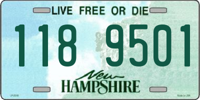 NH license plate 1189501