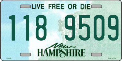 NH license plate 1189509
