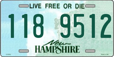 NH license plate 1189512