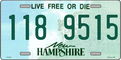 NH license plate 1189515