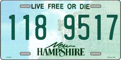 NH license plate 1189517