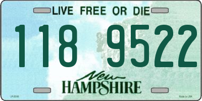 NH license plate 1189522
