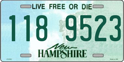 NH license plate 1189523