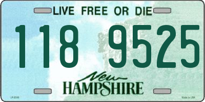NH license plate 1189525