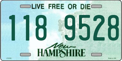 NH license plate 1189528