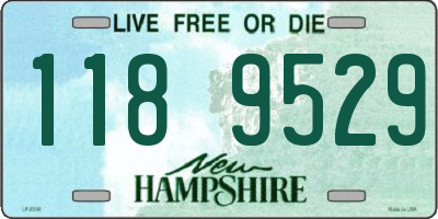 NH license plate 1189529