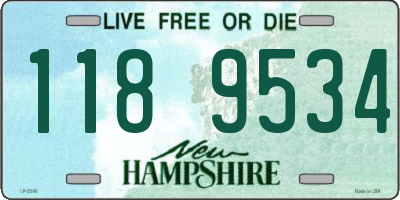 NH license plate 1189534